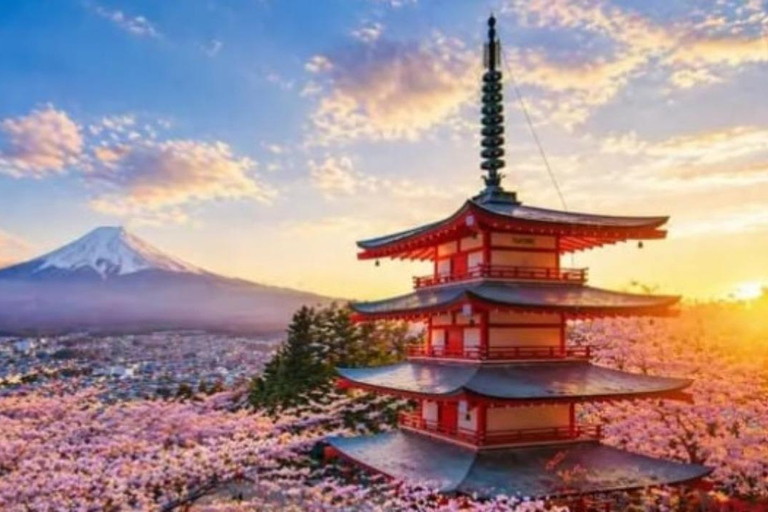 Tokyo: Mount Fuji and Hakone Hidden Gems Tour