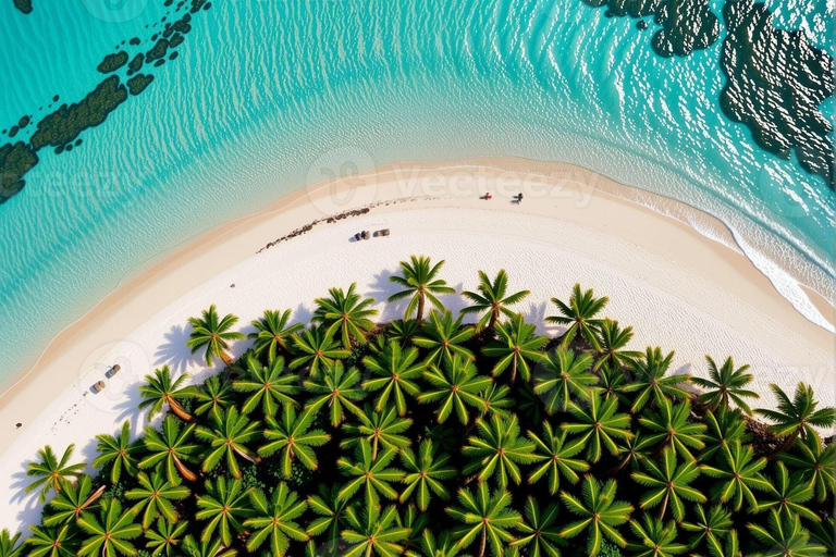 Privé: luxe dagtour naar Samaná Whale en Cayo LevantadoPrivé: luxe dagtour naar walvissen en Cayo Levantado in Samaná