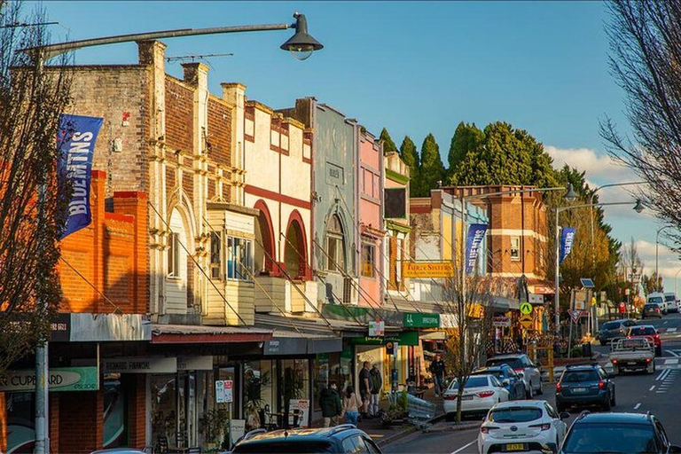 Sydney: Blue Mountains Steam Train Mercedes Sprinter Tour