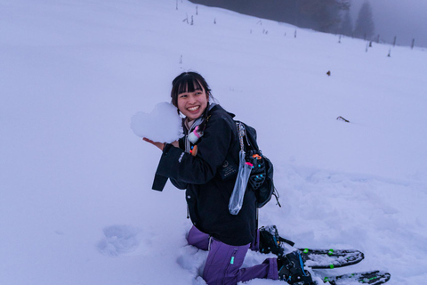 From Ljubljana/Bled: Beginner Snowshoe in Julian Alps From Bled - pickup at your accommodation