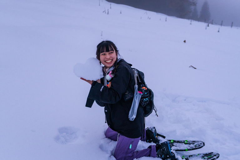 From Ljubljana/Bled: Beginner Snowshoe in Julian Alps From Bled - pickup at your accommodation