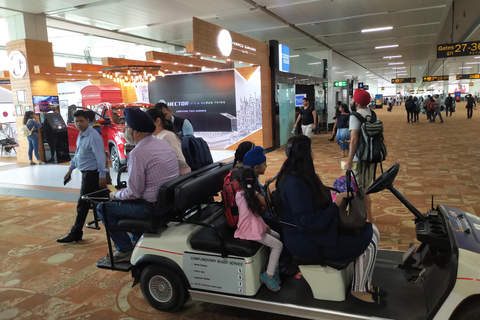 Aeroporto de Délhi: serviço de recepção e assistência VIP na chegadaChegadas domésticas