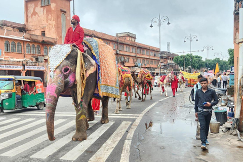 Jaipur : Visite d&#039;une jounée touristique privée en tuk-tuk