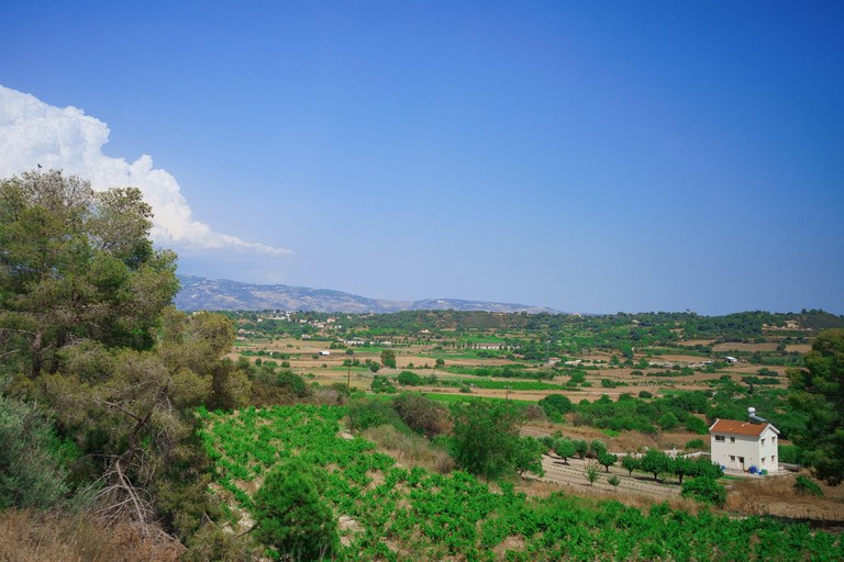 From Paphos: Baths of Aphrodite, Sea Caves and Wine Tour