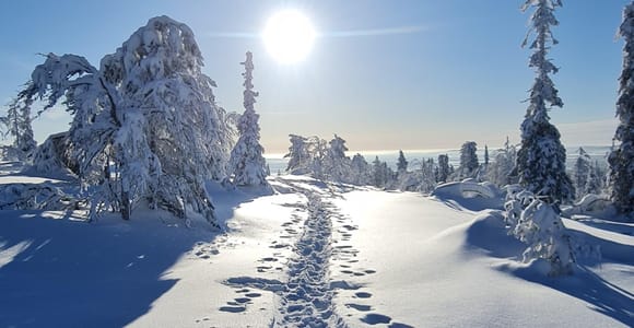Levi: Snowshoe Adventure to Fell Kätkä
