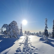 Levi Lapland: Snowshoe Adventure to Fell Kätkä