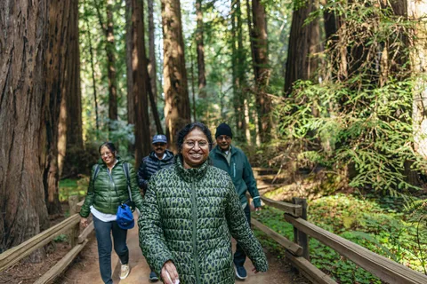 San Francisco: Muir Woods, Sausalito and SF Bay Cruise