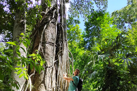 Flores: Exclusive Yaxha Cultural Exploration Full day tour