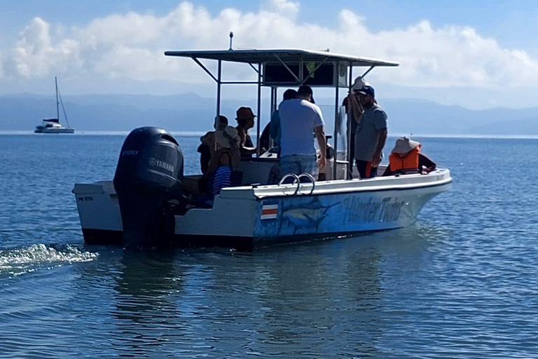 Corcovado snorkeling and wildlife tour