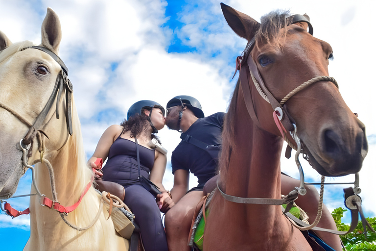 Cavalca nel paradiso: Punta Cana a cavallo sulla spiaggia.Corsa completa