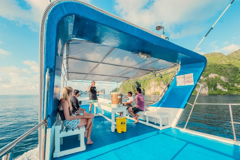 From Phi Phi: Half-Day Trip for Certified Divers (2 Dives) Afternoon Diving for Certified Divers (2 Dives)