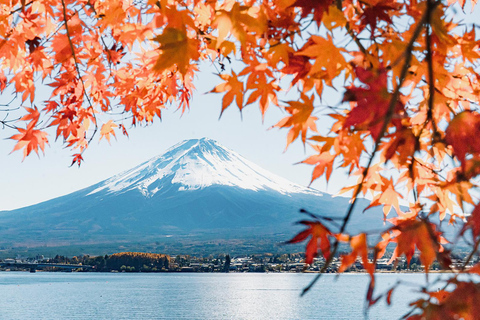 Desde Tokio: Excursión de Un Día al Teleférico del Lago Kawaguchi del Monte FujiEncuentro en la salida norte de Marunouchi de la estación de Tokio