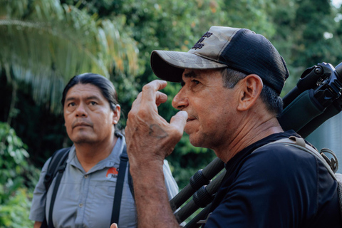 Amazon Adventure: 4 Days of Nature &amp; Culture from Quito