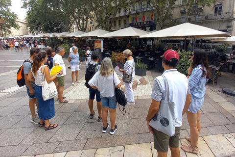 Avignon : visite à pied de l&#039;histoire et de la légendeTOUR D&#039;ANGLAIS