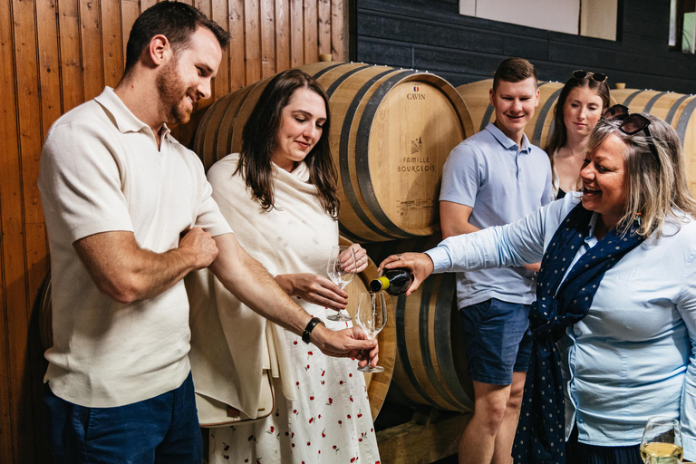 From Paris: Private Sancerre Wine Tour w 10 Tastings & Lunch