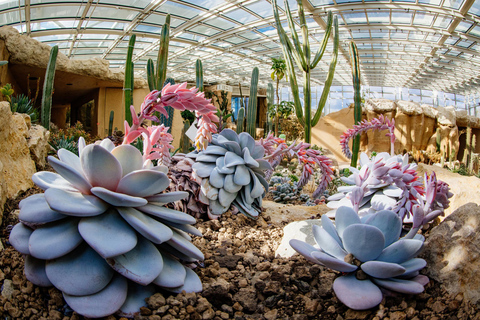 Day admission winter season egapark Erfurt: Winter season day pass for Egapark