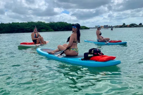 Treasure Island,FL: Sandbar Sail & Paddle Adventure