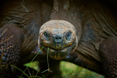 Affordable Galapagos 8 Days Tour