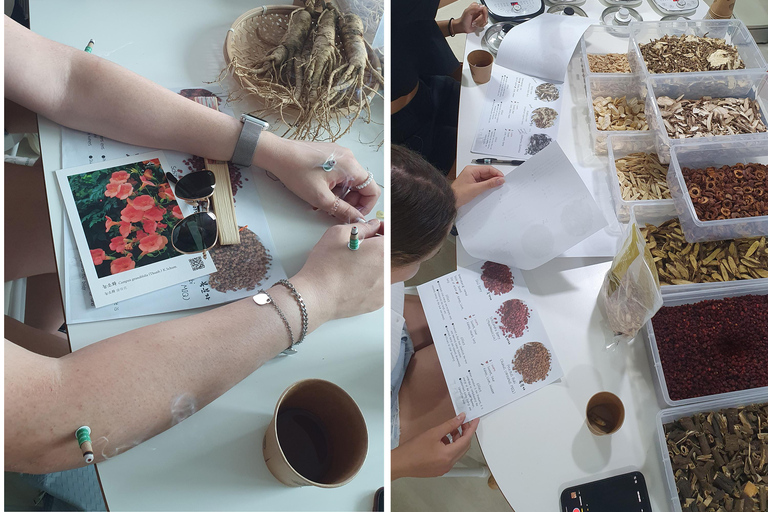 Seúl: clase de infusiones y tour de medicina coreana.Seúl: clase de té de hierbas y tour por la medicina coreana