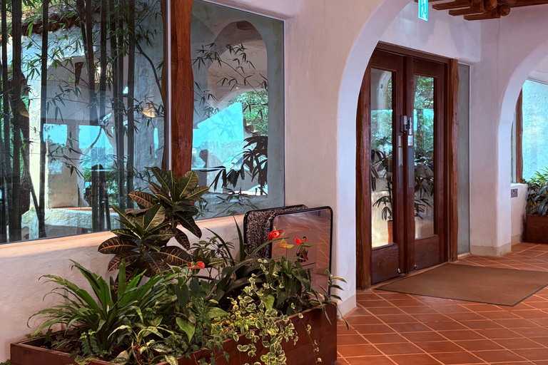 Jeju Trendy Café Tour and When Life Gives You Tangerines