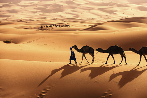 From Agadir/Taghazout: Sahara Sand Dunes with Transfer