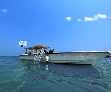 Snorkeling & Pool Day with BBQ & Overnight Stay in Fujairah