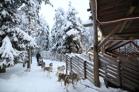 Rovaniemi: Besuch einer Husky- und Rentierfarm mit Schlittenfahrten