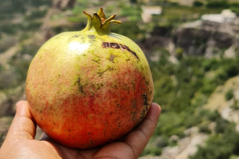 Shared Tour: Nizwa Fort, Souq, Birkat Al Mouz & Jebel Akhdar