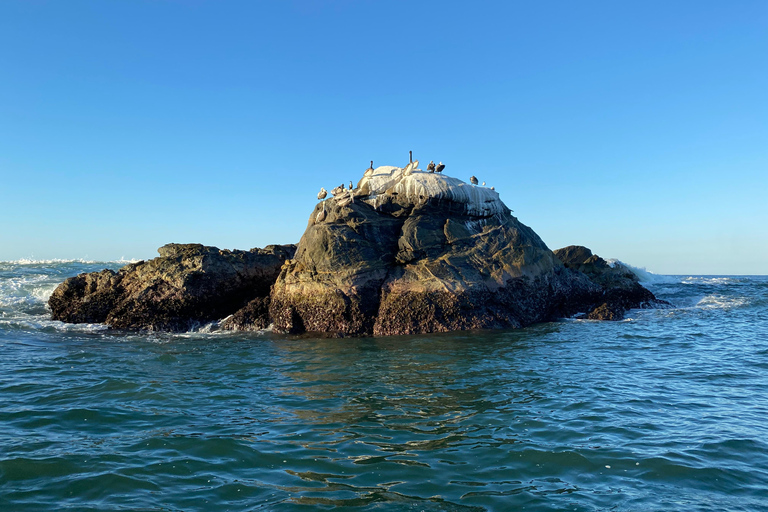 Puerto Escondido: Bootstour zu Delfinen und MeerestierenPrivate Tour