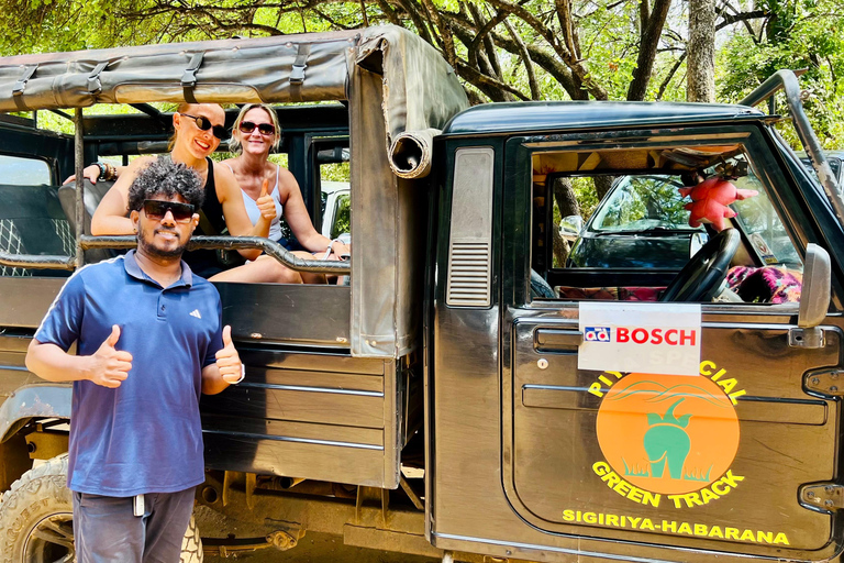 Sri Lanka: 21-Day Private Tour with chauffeur