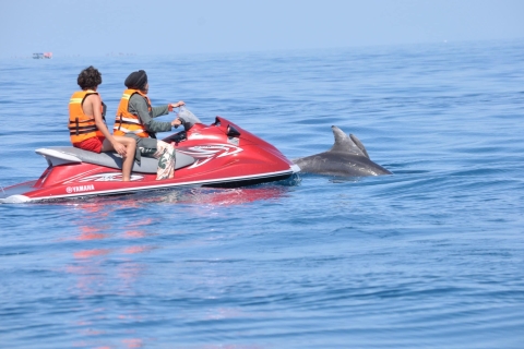 Djerba: Jet Ski Experience with Dolphin Sightings