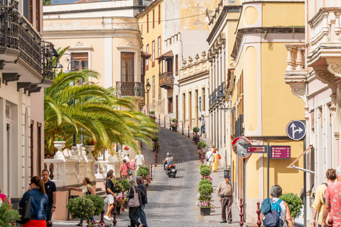 Balades Découverte Teide - La Orotava - Icod de los Vinos