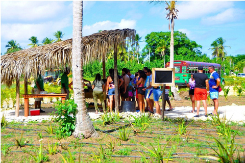 Punta Cana: Monkey Sanctuary, Farm & Cenote Swim Combo