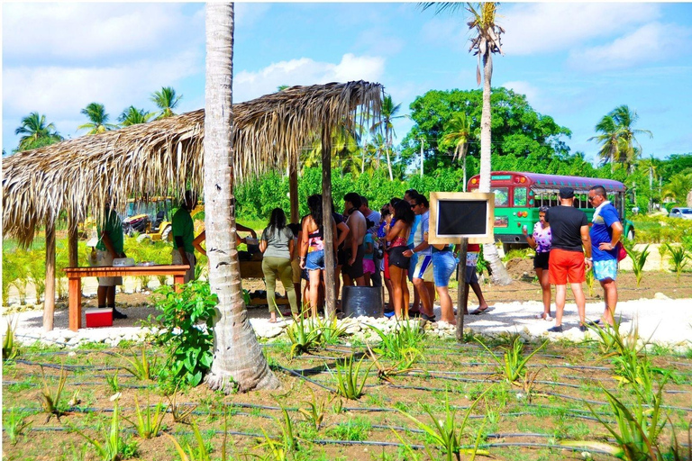 Punta Cana: Monkey Sanctuary, Farm & Cenote Swim Combo