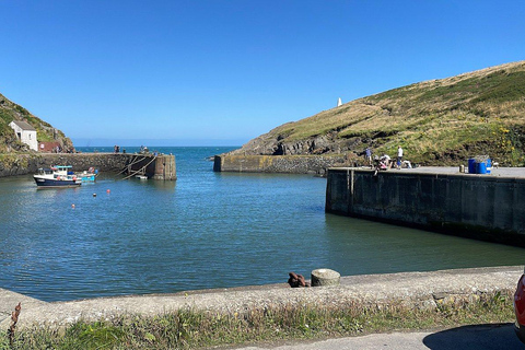 Cardiff: Pembrokeshire Coast &amp; St. Davids Private Voyage