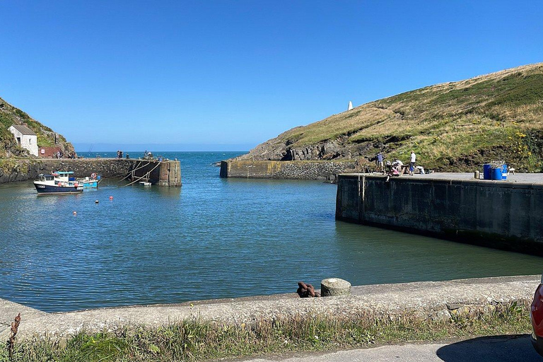 Cardiff: Pembrokeshire Coast & St. Davids Private Voyage