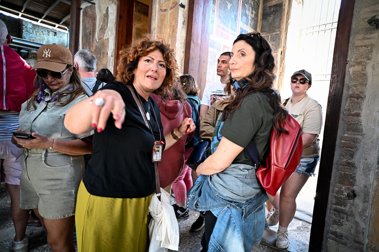 Pompeii: Group Guided Tour with an Expert Archaeologist Group Tour with Entrance Ticket Included