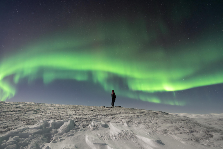 Abisko: Northern Lights Photography Tour with Dinner