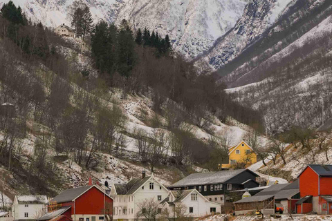 Bergen: Stegastein, Viking Village, Flåm & Nærøyfjord Cruise