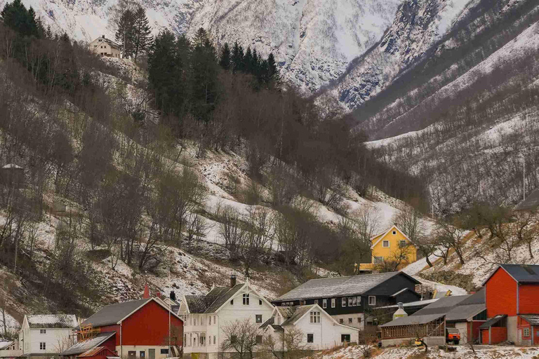 Bergen: Stegastein, Viking Village, Flåm & Nærøyfjord Cruise