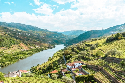 Ab Porto: Douro-Tal mit Weinprobe, Bootsfahrt und LunchGruppentour auf Französisch mit Abholung