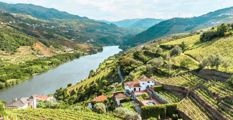 Porto Douro Valley Tour with Wine Tasting Cruise and Lunch GetYourGuide