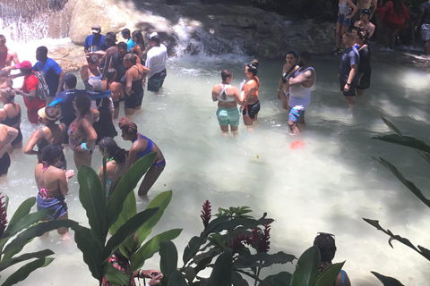 Montego Bay: Blue Hole, Dunn's River Falls, and Zipline Tour