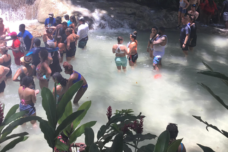 Montego Bay: Blue Hole, Dunn's River Falls, and Zipline Tour