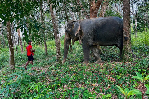 Khaolak Hightlight Tour mit Eco Guide Abenteuer