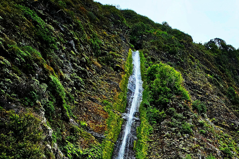 Excursion en jeep dans l&#039;ouest de Madère – Fanal, Seixal, piscines naturelles et petits groupes