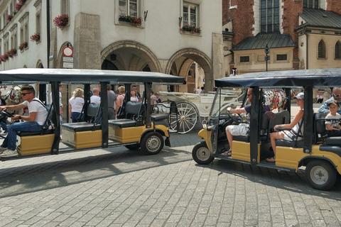 Cracovia: centro storico, Wawel e museo sotterraneo con pranzo