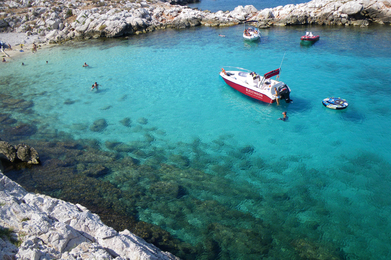 Vanuit Marseille: Iconische rondvaart door de Calanques met snorkelenMiddag rondvaart: Vertrek Vieux-Port