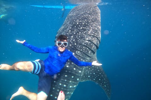 Cebu: Whale Shark, Tumalog, Sumilon, and Moalboal Tour - Image 2