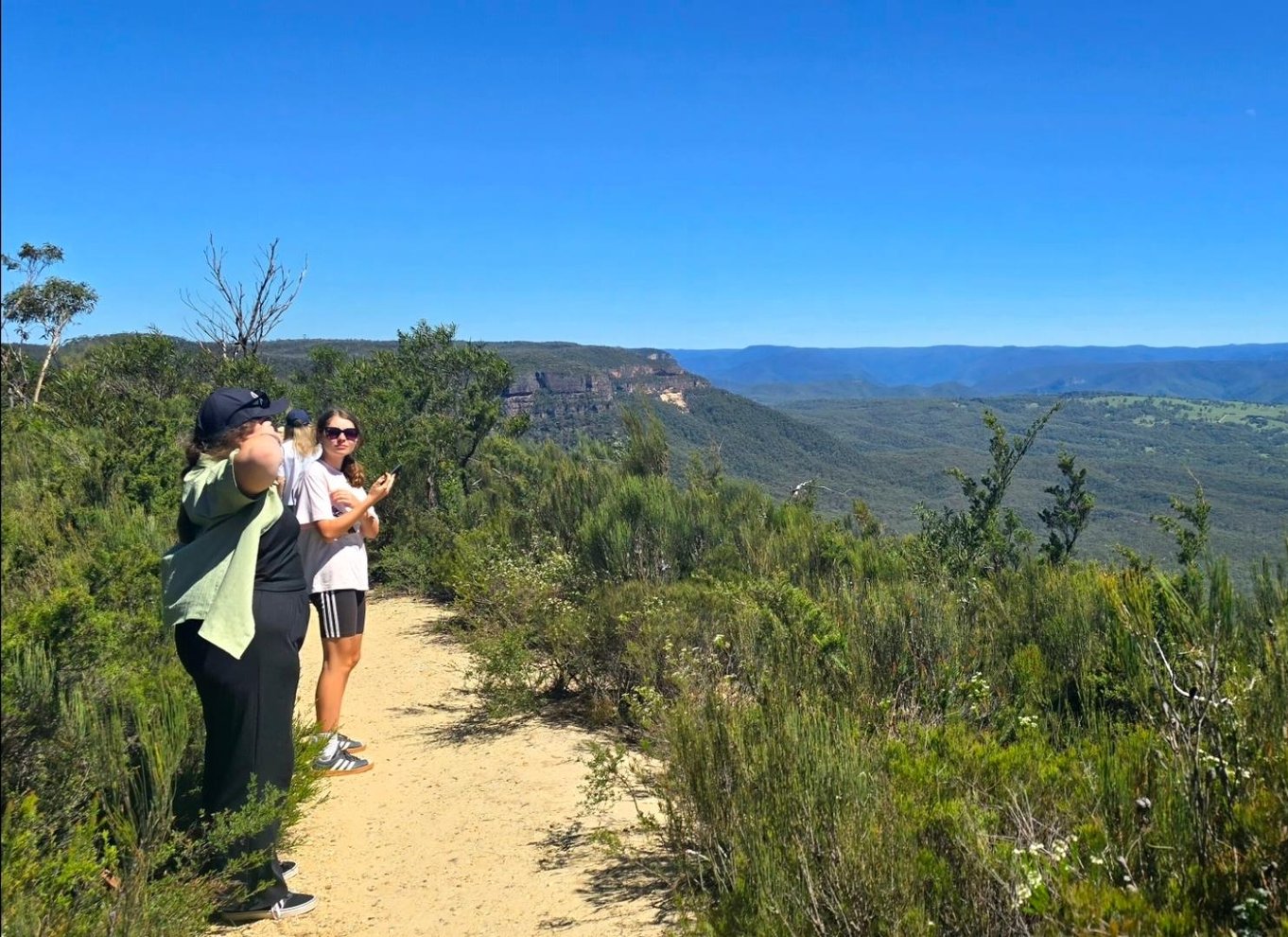 Fra Sydney: Blue Mountains-tur med vandfaldsvandring og frokost